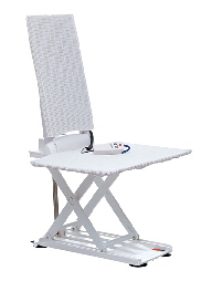 beluga_image
